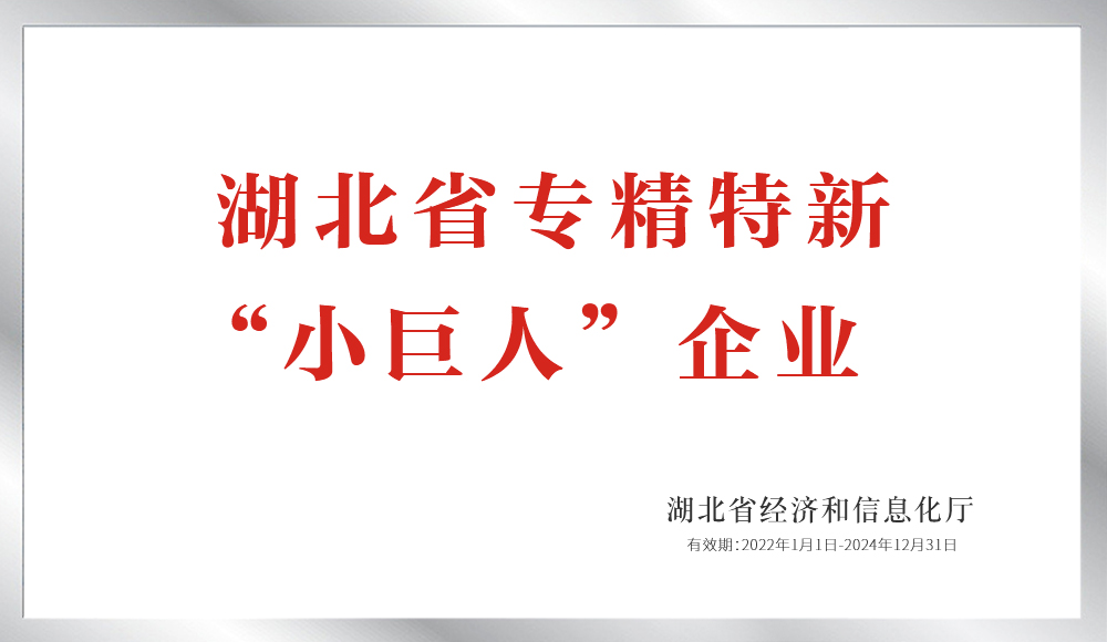 湖北省專精特新“小巨人”企業