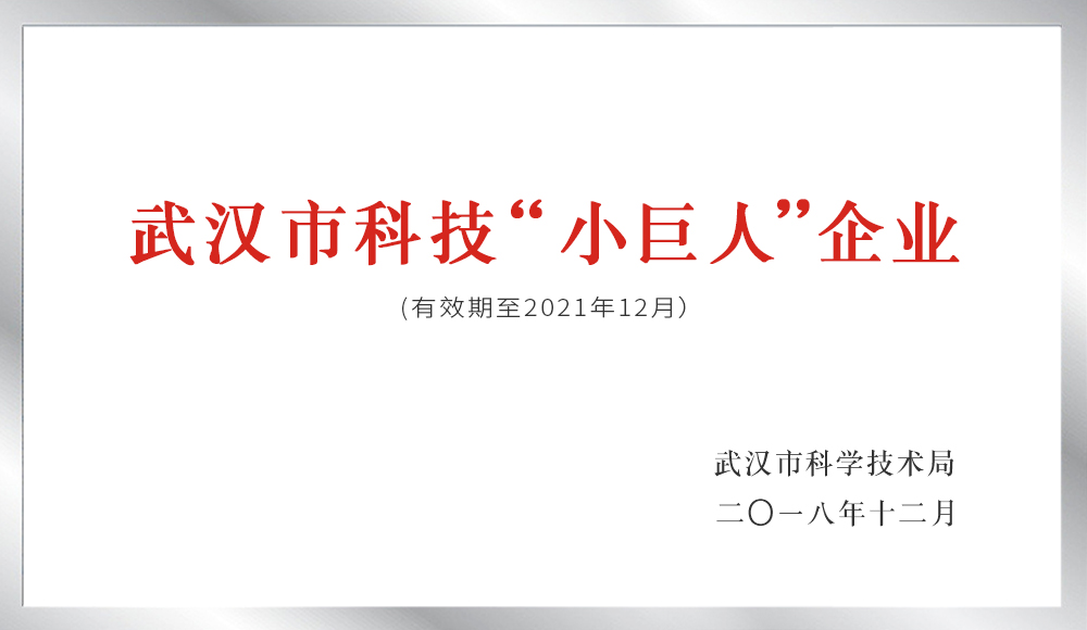 武漢市科技“小巨人”企業