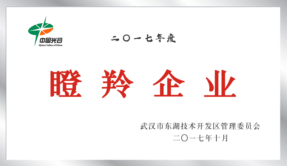 瞪羚企業（2013-2017）